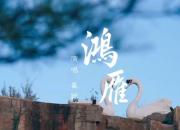 崔穎演唱歌曲《鴻雁》，獻(xiàn)給朝陽·北票首屆天鵝節(jié)