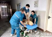 【生死時速 救在身邊】北票市中心醫(yī)院開展就診患者發(fā)生猝死應急演練（孫艷輝）