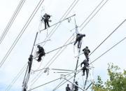 勇?lián)姑?國網(wǎng)朝陽供電公司攻堅季交出亮眼“答卷”