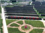 云端V眼看朝陽 滿目生機入畫來