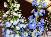 愛(ài)變臉的媽媽?zhuān)ㄧ娦膼?張美玉）