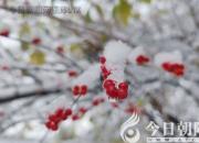 是你，溫暖了我的那個(gè)冬天（陳雷）