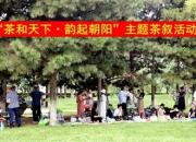 “茶和天下·韻起朝陽”活動在遼寧朝陽驚艷亮相！