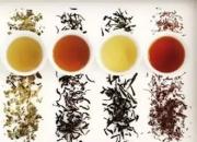 長知識！我國600多種茶及特點(diǎn) 值得你了解