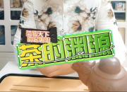 【茶和天下·韻起朝陽】茶的淵源