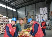 國網(wǎng)朝陽供電公司：為“中國雜糧之鄉(xiāng)”豐收護(hù)航