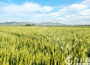 朝陽新媒體人：在雄壯的迎春序曲中開啟充滿光榮和夢(mèng)想的新征程?。ㄎ澹?></a>
            <div   id=