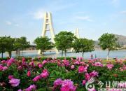 朝陽(yáng)新媒體人：在雄壯的迎春序曲中開(kāi)啟充滿(mǎn)光榮和夢(mèng)想的新征程?。ò耍?></a>
            <div   id=