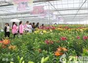 朝陽(yáng)新媒體人：在雄壯的迎春序曲中開(kāi)啟充滿(mǎn)光榮和夢(mèng)想的新征程！（九）