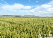 朝陽(yáng)新媒體人：在雄壯的迎春序曲中開(kāi)啟充滿(mǎn)光榮和夢(mèng)想的新征程?。ㄊ?></a>
            <div   id=