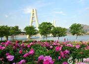 朝陽(yáng)新媒體人：在雄壯的迎春序曲中開(kāi)啟充滿(mǎn)光榮和夢(mèng)想的新征程?。ㄊ?></a>
            <div   id=