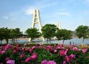 致全省廣大專升本考生的一封信