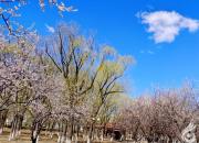 凌水詩箋，朝陽市詩詞學(xué)會(huì)為遼寧專升本考生送上真摯祝福（二）