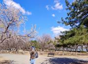 凌水詩箋，朝陽市詩詞學(xué)會(huì)為遼寧專升本考生送上真摯祝福（四）