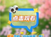 遼寧省朝陽市康寧醫(yī)院為專升本考生送上貼心的考前指南（上）