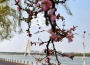 祝所有考生逢考必過