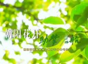 朝陽花開·助夢啟航”歡迎遼寧廣大專升本考生來到朝陽