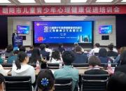 醫(yī)校聯(lián)動(dòng)，共筑兒童青少年心靈港灣——朝陽市兒童青少年心理健康促進(jìn)培訓(xùn)會(huì)圓滿落幕