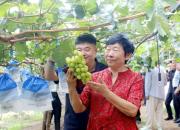 小安農(nóng)場正式開園：科技賦能農(nóng)業(yè)，三產(chǎn)融合助力鄉(xiāng)村振興