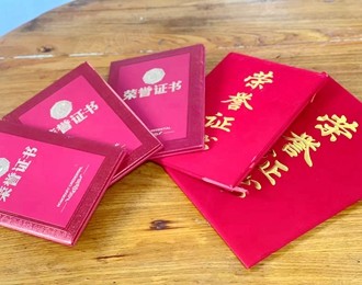 惟有青蒲映朝陽——朝陽市龍城區(qū)召都巴鎮(zhèn)厚杖子村宋玉梅家庭無償獻血紀實