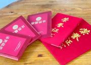 惟有青蒲映朝陽(yáng)——朝陽(yáng)市龍城區(qū)召都巴鎮(zhèn)厚杖子村宋玉梅家庭無(wú)償獻(xiàn)血紀(jì)實(shí)