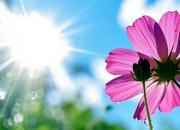 鳳凰山與凌河水的對話（韓輝升）