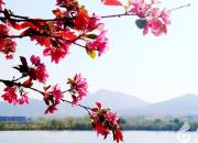 河畔花開（韓輝升）