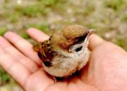 紀實（韓輝升）