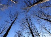 刀刻的初戀（韓輝升）