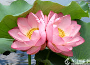 愛的力量（韓輝升）