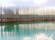 思想河（三十首）（三）（韓輝升）