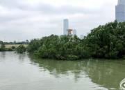 思想河（三十首）（十二）（韓輝升）