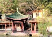 思想河（三十首）（二十）（韓輝升）