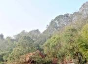 思想河（三十首）（二十二）（韓輝升）