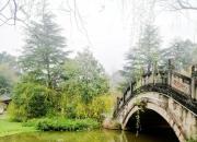 思想河（三十首）（二十五）（韓輝升）