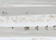 立冬（韓輝升）