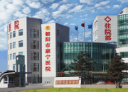 朝陽市康寧醫(yī)院開展世界精神衛(wèi)生日系列宣傳活動(dòng)，筑牢群眾心理健康防線